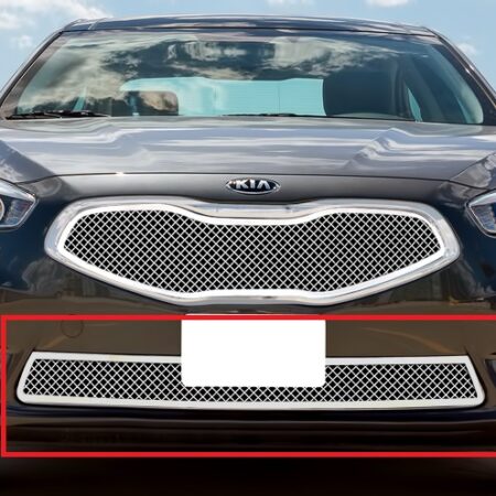 APS GR11GEI56T – Polished Wire Mesh Lower Bumper Grille